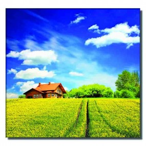 Tranh dán tường Cánh Đồng Bội Thu
